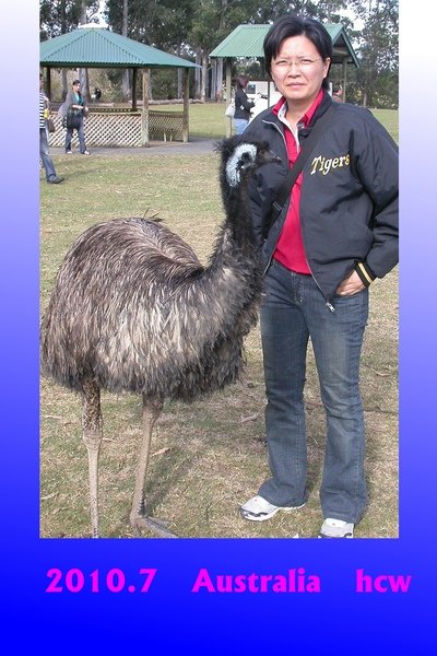 emu.jpg