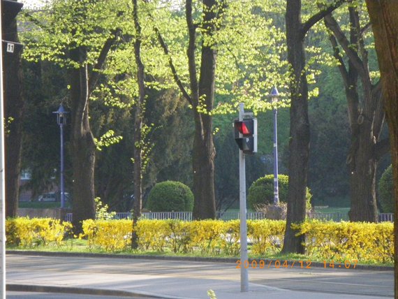 200904晨曦初照二月公園.jpg