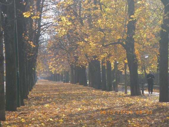 Prater Forest - Side Route.jpg