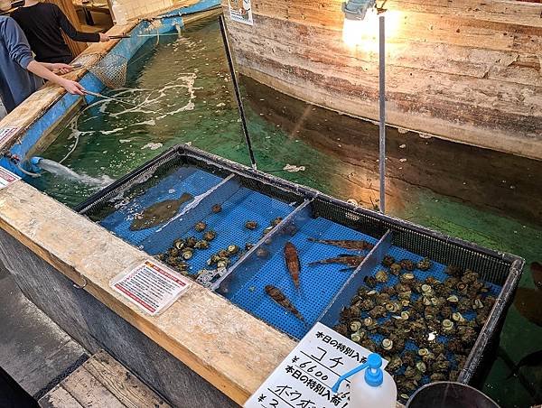 [食記] 東京新宿 釣船茶屋ざうお.釣魚體驗居酒屋.釣船茶屋