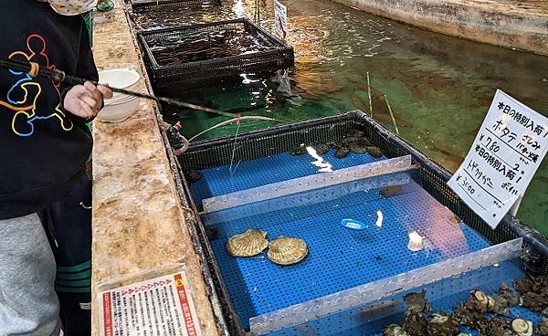 [食記] 東京新宿 釣船茶屋ざうお.釣魚體驗居酒屋.釣船茶屋