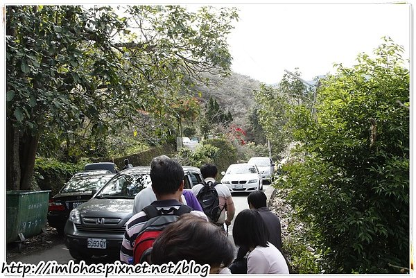 2011-01-09 信義鄉烏松崙賞梅花、梅子夢工場園區055.JPG