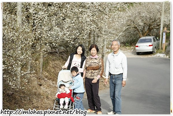 2011-01-09 信義鄉烏松崙賞梅花、梅子夢工場園區076.JPG