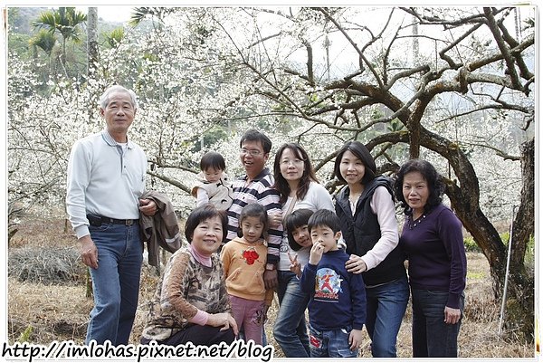 2011-01-09 信義鄉烏松崙賞梅花、梅子夢工場園區027.JPG