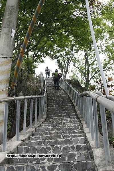 關子嶺紅葉公園29.JPG