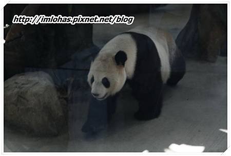2011-02-26 三日遊(小人國、木柵動物園)79.JPG