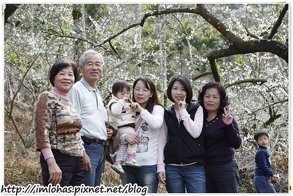 2011-01-09 信義鄉烏松崙賞梅花、梅子夢工場園區022.JPG