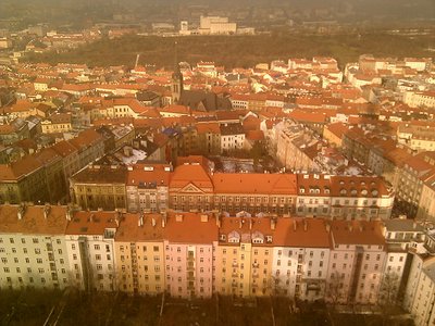 IMG_20110130_131813.jpg