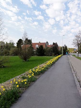 DSC03922.jpg