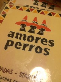 amores perros