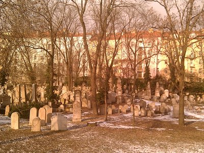 IMG_20110130_132822.jpg