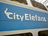 city elefant