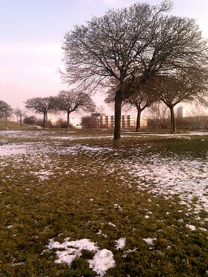 IMG_20110130_145909.jpg