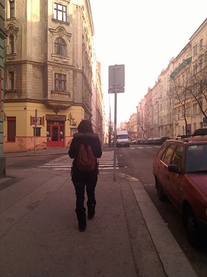 IMG_20110130_133509.jpg