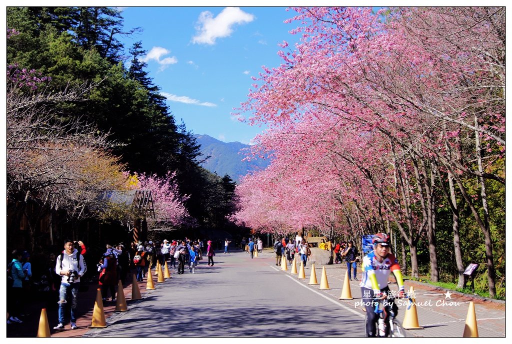 DSC08200_副本.jpg