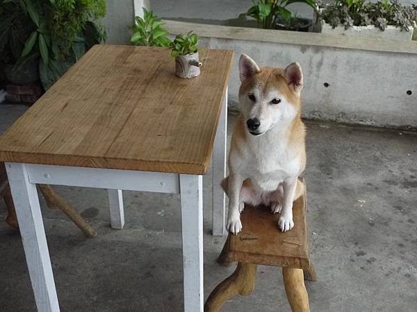 20111009_003.JPG