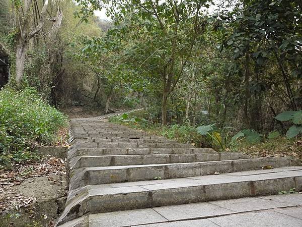P1000252.JPG