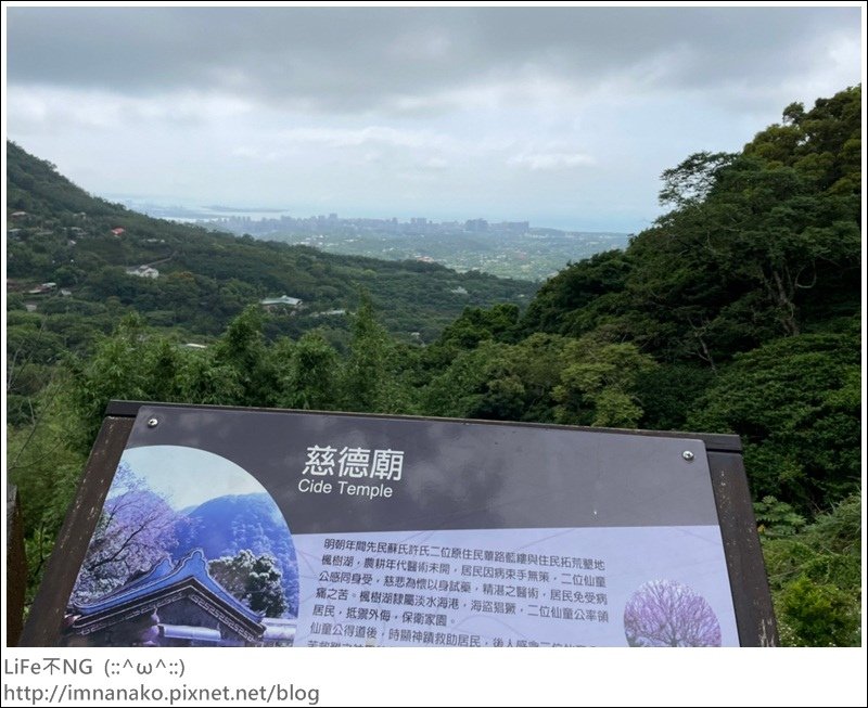 桐花季_220425_11.jpg