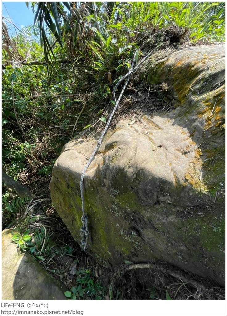 牡丹山_221005_33.jpg
