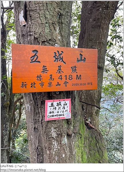 年假一_230131_109.jpg