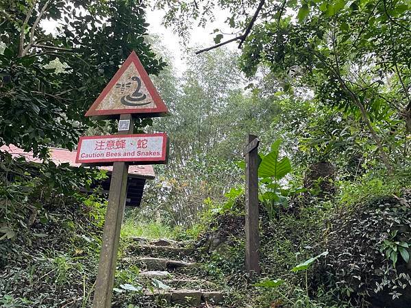 台南｜小百岳集起來｜崁頭山步道