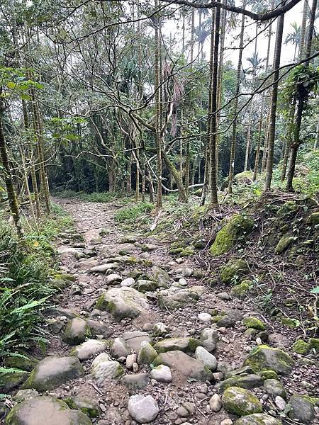台南｜小百岳集起來｜關仔嶺大凍山步道