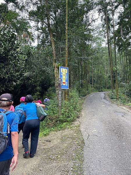 台南｜小百岳集起來｜關仔嶺大凍山步道