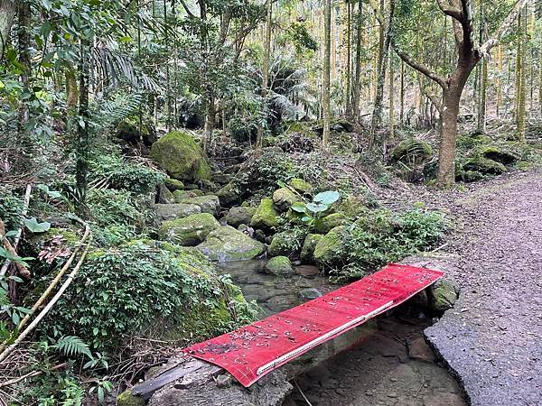 台南｜小百岳集起來｜關仔嶺大凍山步道