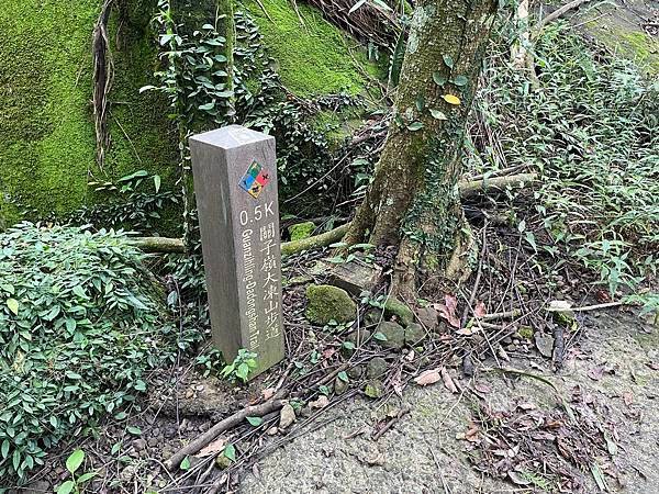 台南｜小百岳集起來｜關仔嶺大凍山步道