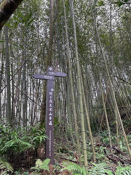 台南｜小百岳集起來｜關仔嶺大凍山步道