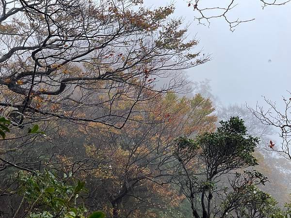 新北三峽｜中級山尋幽｜雨訓台灣百大名山-北插天山（岩戶分遣所