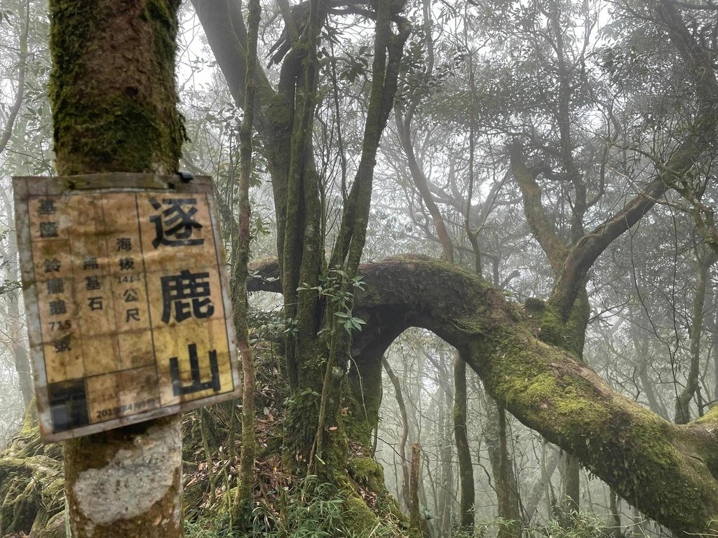 新北烏來｜烏來四秀—烏來信福路120巷上逐鹿山