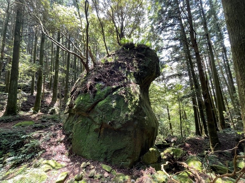 新竹尖石｜中級山尋幽｜水田林道上貴妃山-石猴鞍部-那結山-外