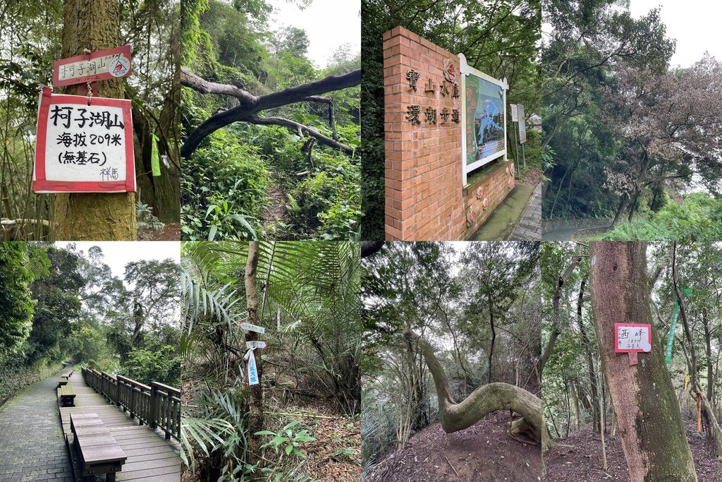 新竹寶山｜搭公車去爬山｜寶山水庫10連峰（加碼十八尖山）