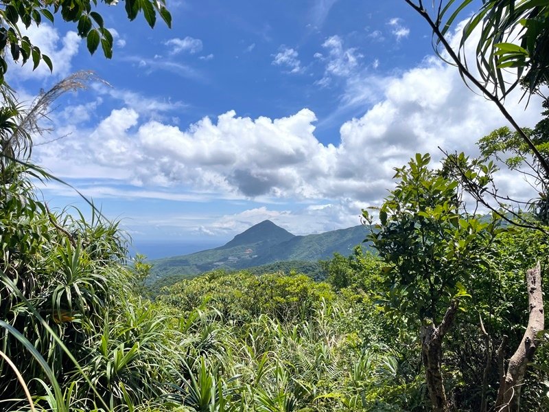 新北瑞芳｜搭火車去爬山｜瑞芳-萬壽山-八分寮山-蛇子形古道環