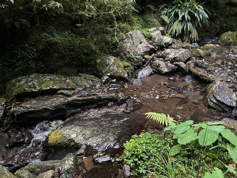 新竹五峰｜中級山尋幽｜麥巴來山O型(五峰工作站-麥巴來山西北