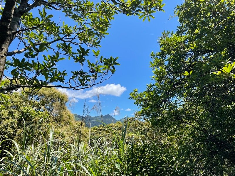 新北瑞芳｜搭火車去爬山｜夢幻三貂嶺（三貂嶺夢幻寺-夢幻瀑布-