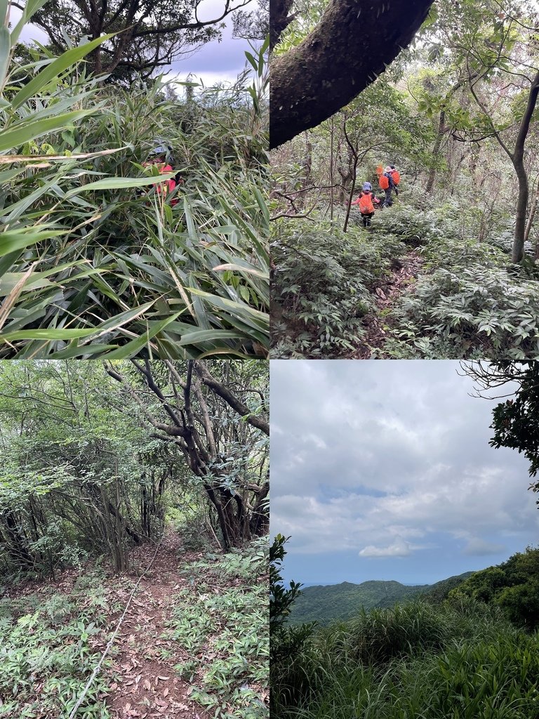 新北石門｜消暑路線｜陽明山第一大瀑布阿里磅瀑布（竹子山古道-