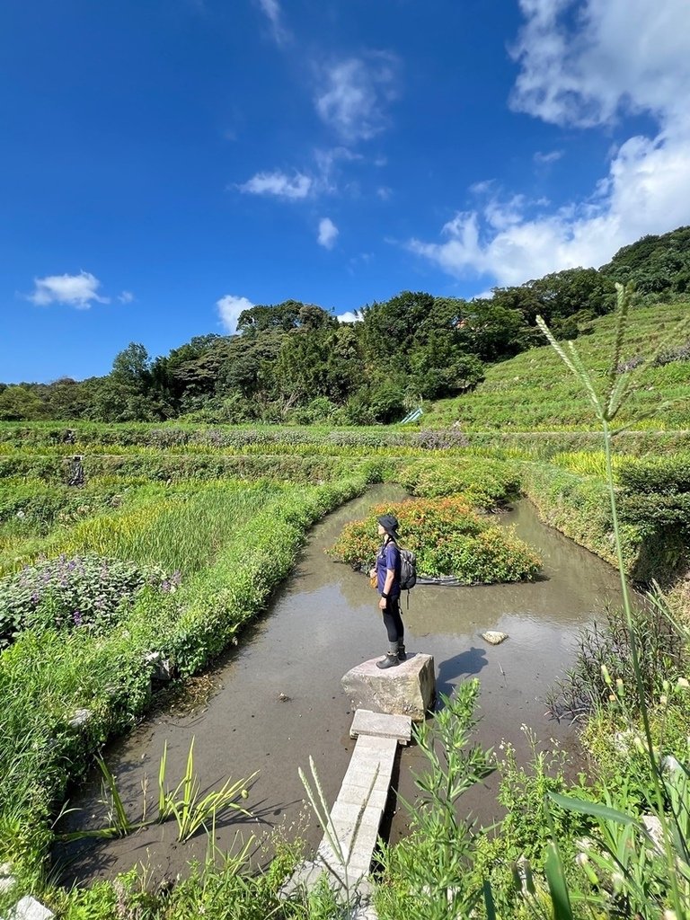新北石門｜消暑路線｜陽明山第一大瀑布阿里磅瀑布（竹子山古道-