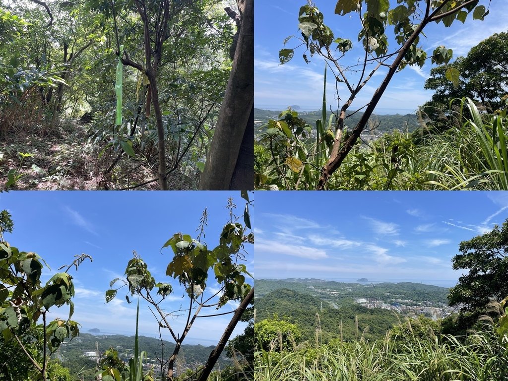 新北瑞芳｜搭火車去爬山｜瑞芳三星O型（瑞芳萬壽山-南萬壽山-