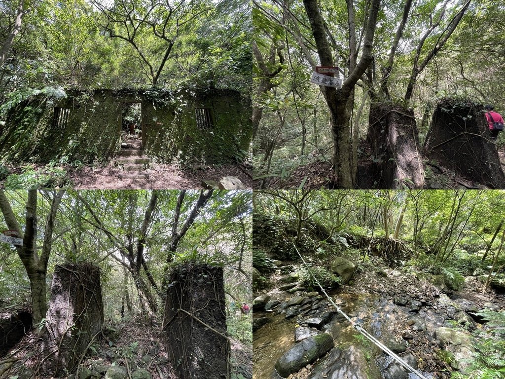 新北貢寮｜搭公車去爬山｜淡蘭古道北路2+1（淡蘭北路第二段：