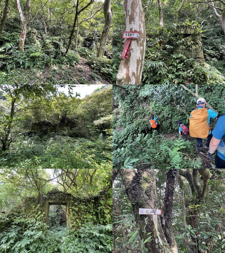 新北石碇｜搭公車去爬山｜一坑越嶺古道(紙寮坑古道-九層坪-耳