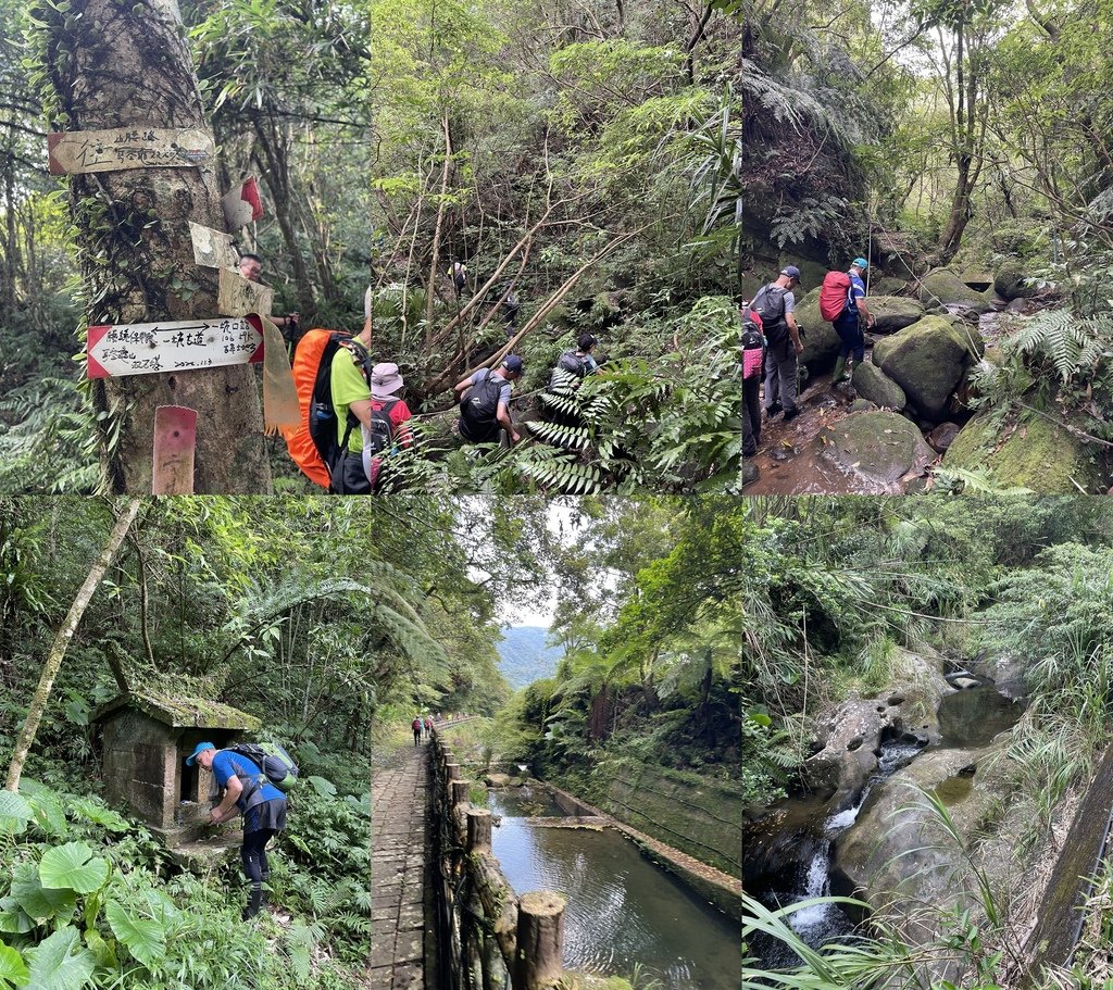 新北石碇｜搭公車去爬山｜一坑越嶺古道(紙寮坑古道-九層坪-耳