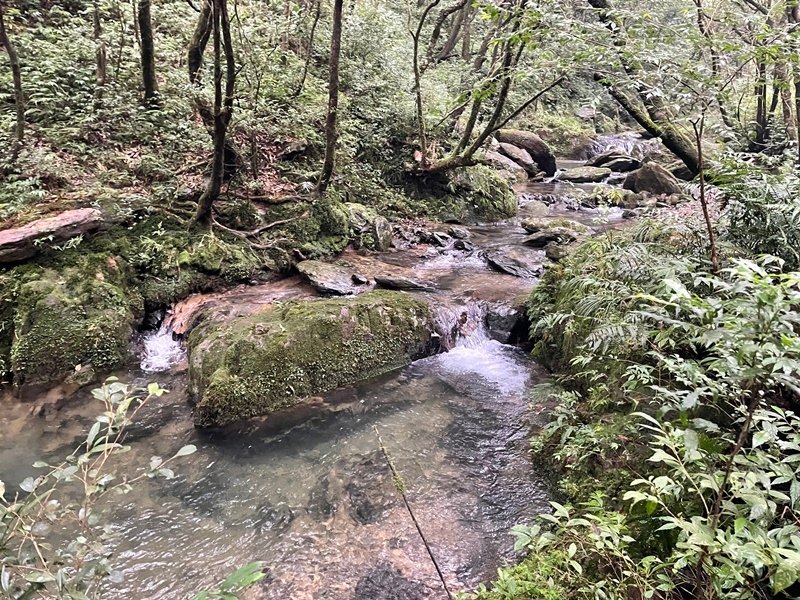 宜蘭礁溪｜蘭陽五大名山之一｜烘爐地山桶後溪源頭連走(櫻花陵園