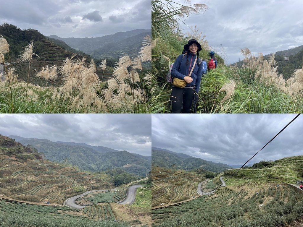 新北坪林｜搭公車去爬山｜輕鬆健行路線｜坪林老街-水柳腳步道-