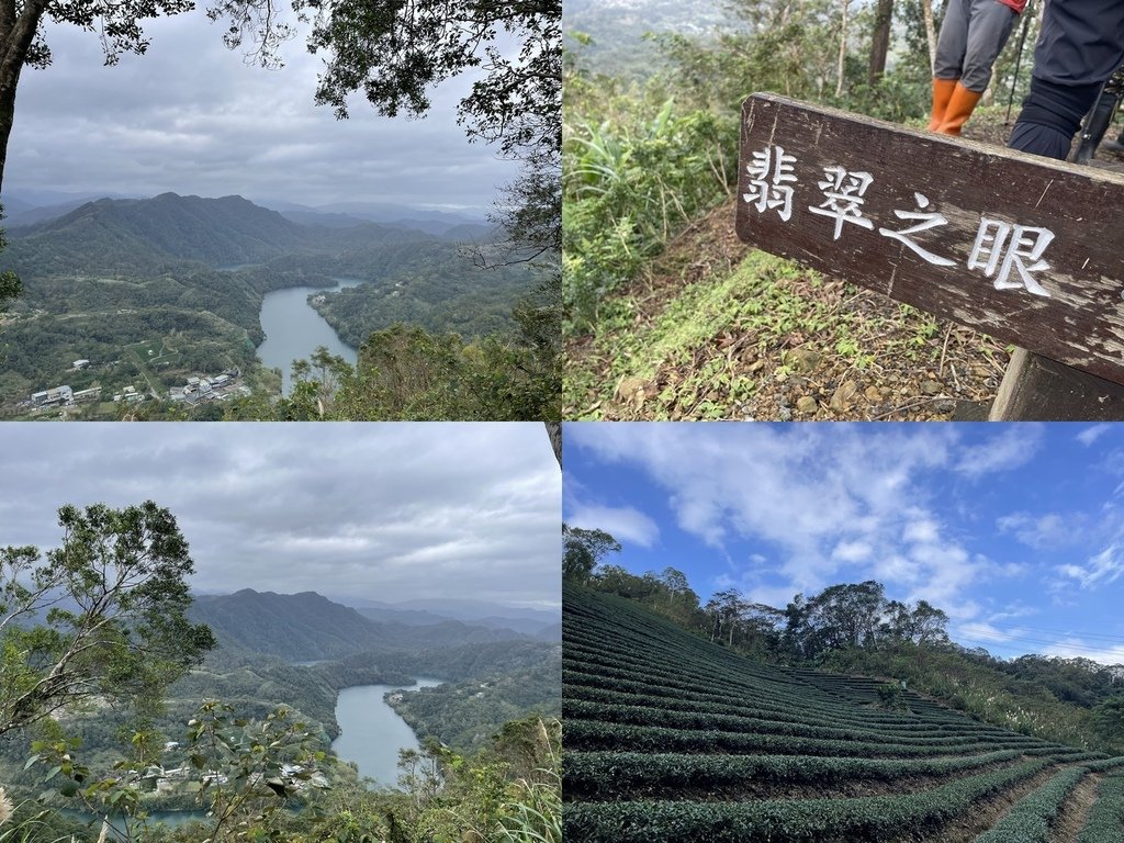 新北坪林｜搭公車去爬山｜輕鬆健行路線｜坪林老街-水柳腳步道-