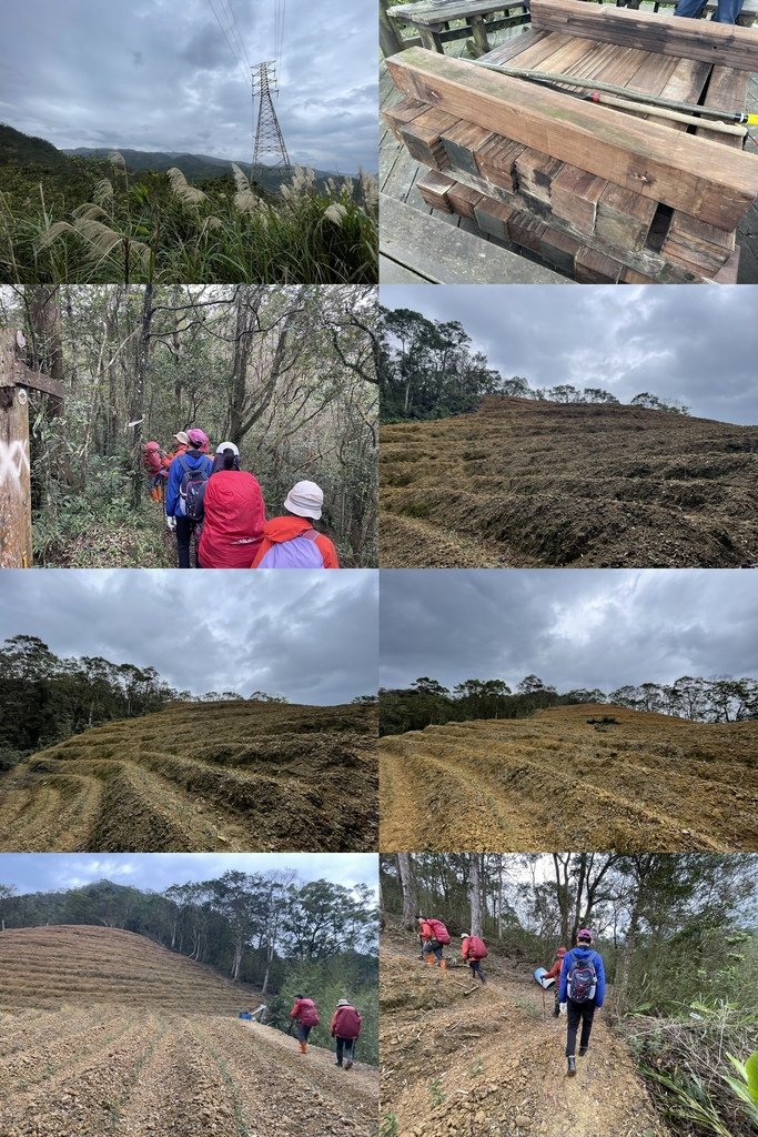 新北坪林｜搭公車去爬山｜輕鬆健行路線｜坪林老街-水柳腳步道-