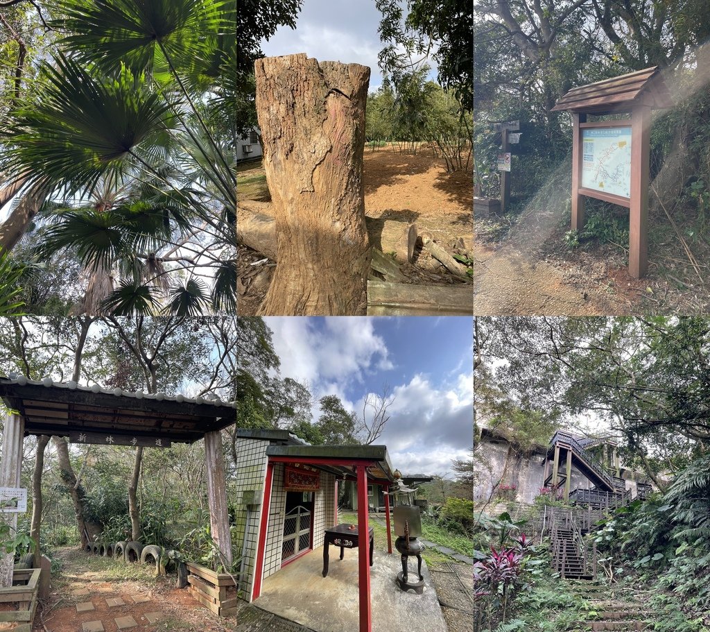新北泰山｜搭公車去爬山｜半日健行路線｜泰林縱走（明志書院—崎