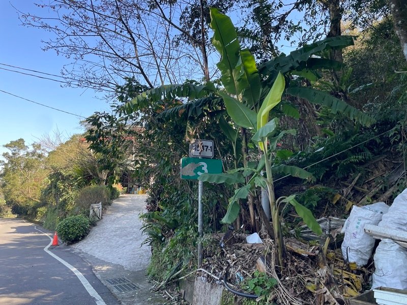 新北坪林｜搭公車去爬山｜半日輕鬆路線｜淡蘭古道南路第三段（黃