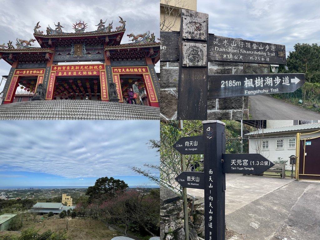 新北淡水｜搭公車去爬山｜半日健行路線｜天元宮賞櫻花-山仔頂登